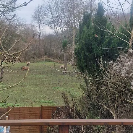 House Surrounded By Nature * Triel-sur-Seine
